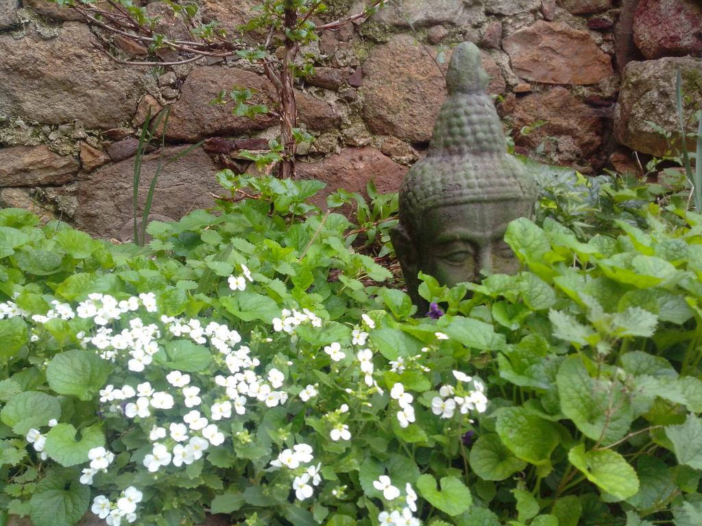 Le Bousquet-d'OrbLe Clos De La Source住宿加早餐旅馆 外观 照片