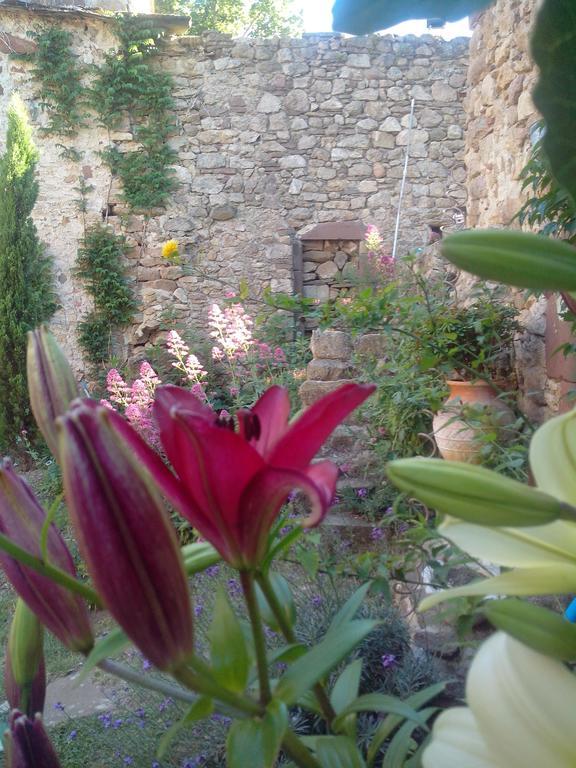 Le Bousquet-d'OrbLe Clos De La Source住宿加早餐旅馆 外观 照片